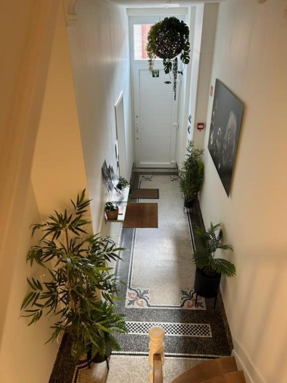 Les Gites Du Palais Dinant Ngoại thất bức ảnh